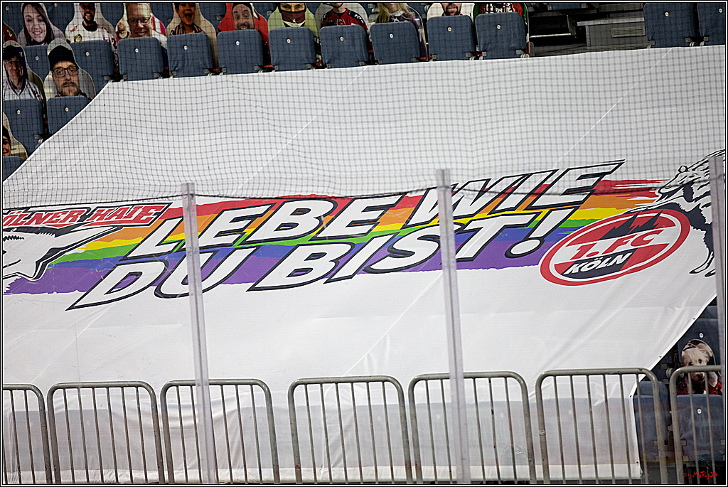 PENNY DEL;  Koelner Haie - Fischtown Pinguins Bremerhaven; Koeln, 17.01.2021